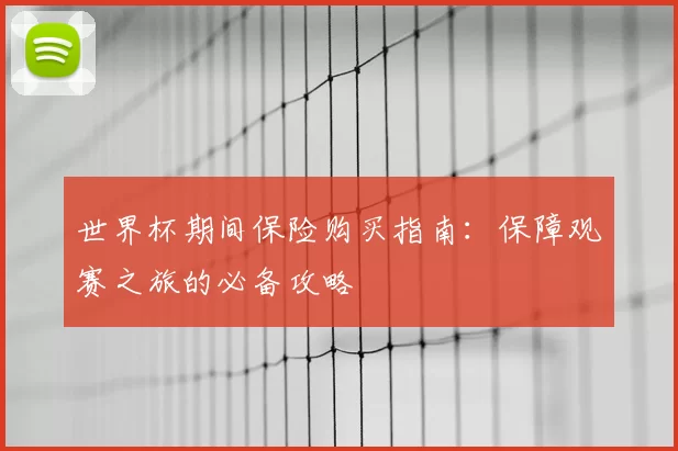 世界杯期间保险购买指南:保障观赛之旅的必备攻略