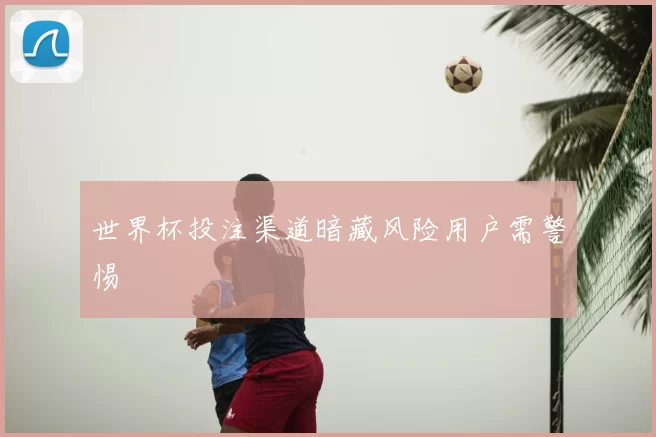 世界杯投注渠道暗藏风险用户需警惕