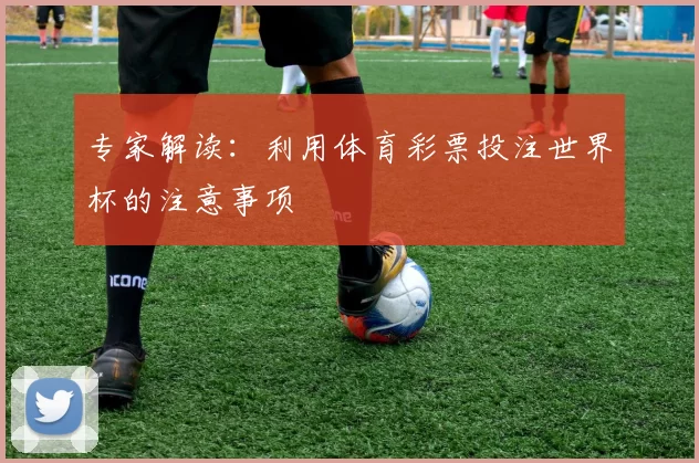 专家解读:利用体育彩票投注世界杯的注意事项