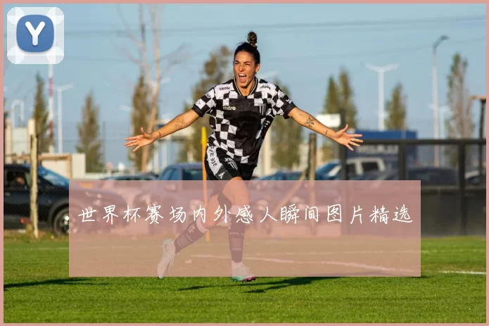 世界杯赛场内外感人瞬间图片精选