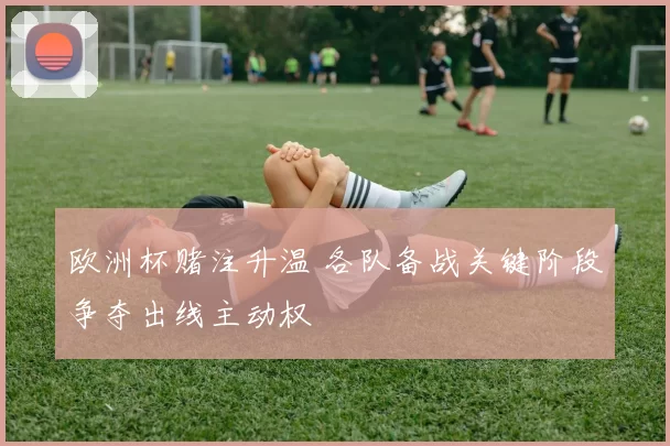 欧洲杯赌注升温 各队备战关键阶段争夺出线主动权