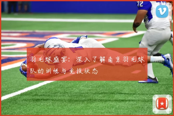 羽毛球盛宴:深入了解南京羽毛球队的训练与竞技状态