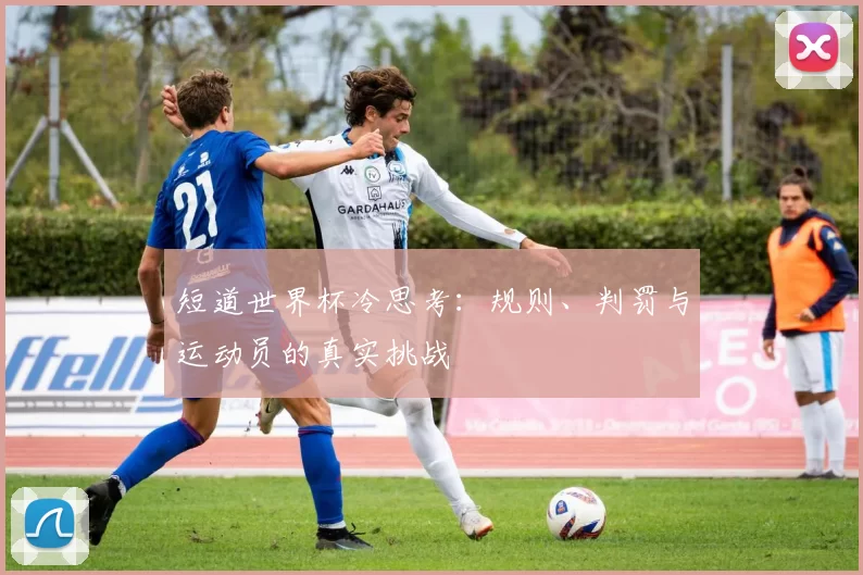 短道世界杯冷思考:规则、判罚与运动员的真实挑战