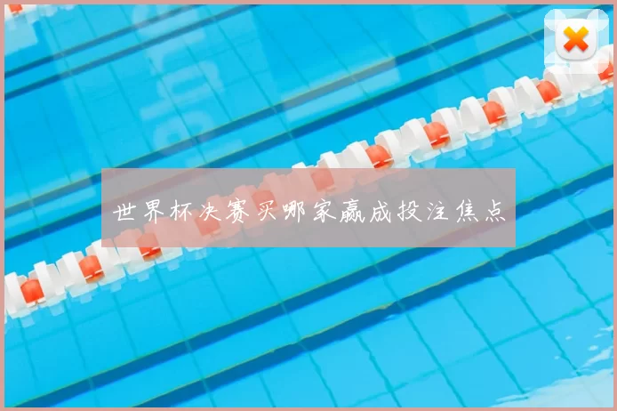 世界杯决赛买哪家赢成投注焦点