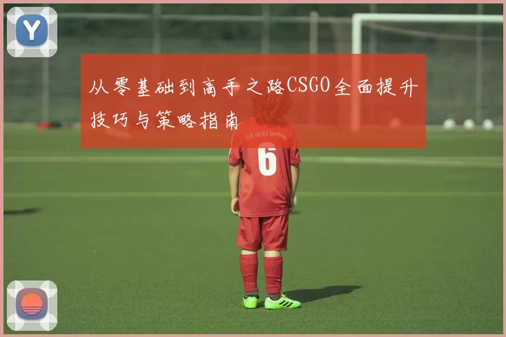 从零基础到高手之路CSGO全面提升技巧与策略指南
