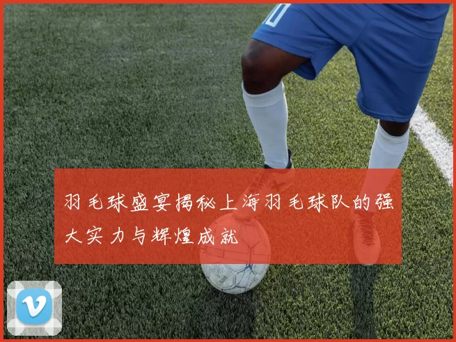 羽毛球盛宴揭秘上海羽毛球队的强大实力与辉煌成就