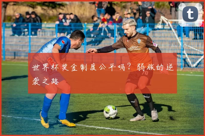 世界杯奖金制度公平吗?弱旅的逆袭之路