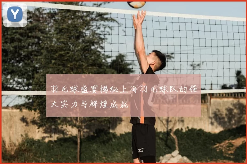 羽毛球盛宴揭秘上海羽毛球队的强大实力与辉煌成就