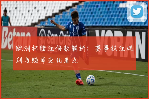 欧洲杯赌注倍数解析:赛事投注规则与赔率变化看点